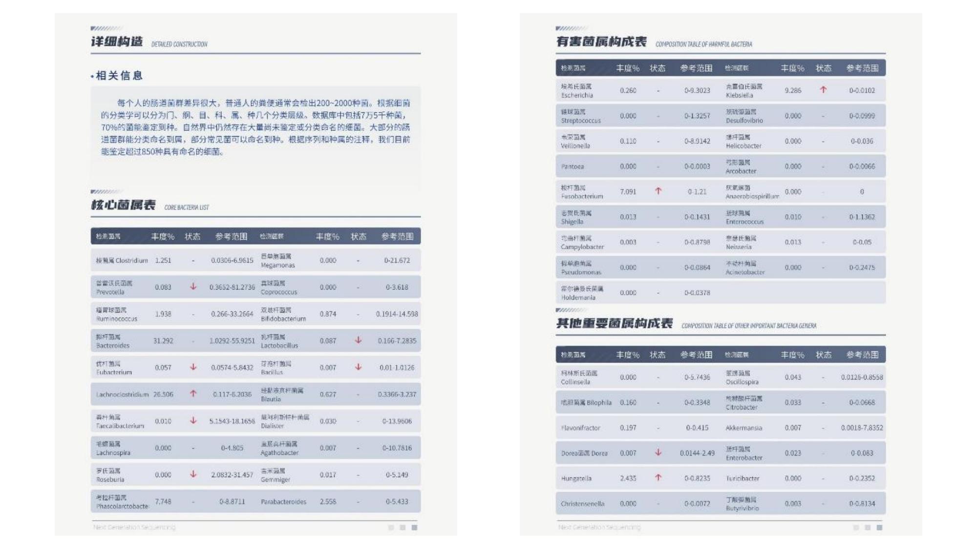 详细构造与核心菌属、有害菌属构成表