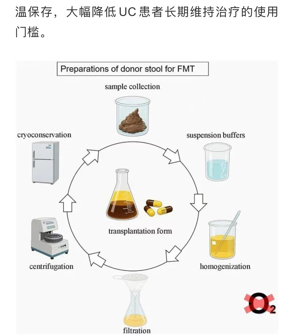 菌液制备工艺流程（来源：Laboratory preparation methods for human-derived fecal microbial suspensions for FMT. Front Microbiol 2025. PMC12441051）